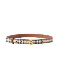 Check Belt